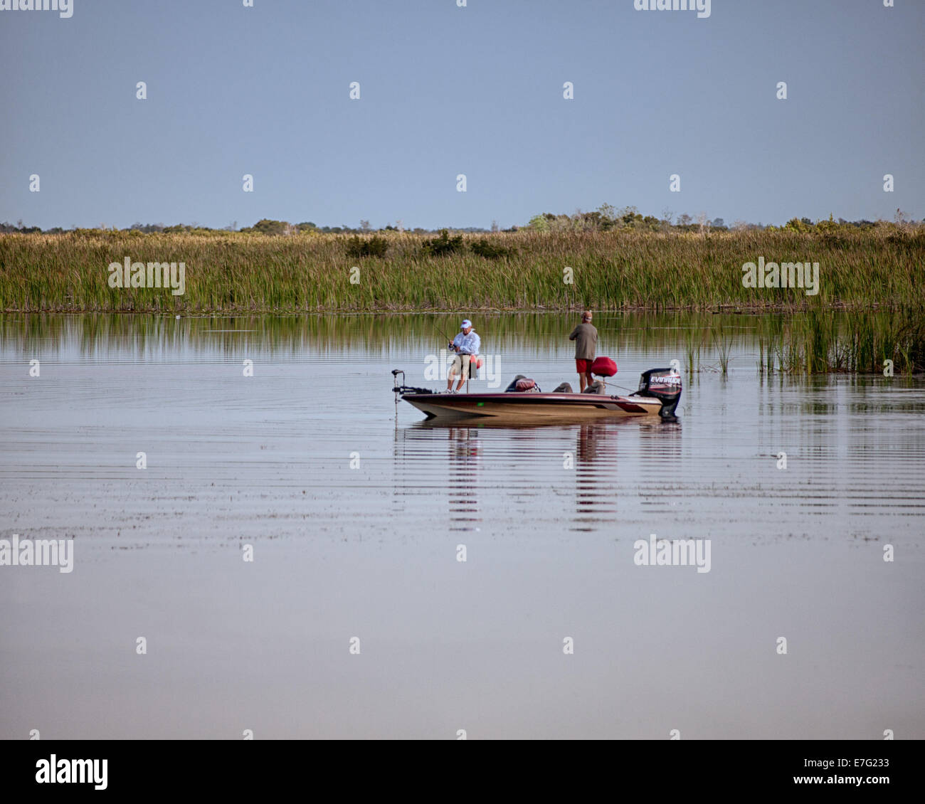 Florida, USA. 28. August 2014. Zwei Fischern, die in einem Ranger 519VX Boot mit einem 200 Evinrude e-Tec Außenborder Motor, in den Gewässern des Arthur R. Marshall Loxahatchee National Wildlife Refuge, Palm Beach County, Florida, eine 147.392-Acre (596 qkm) Naturschutzgebiet und Teil des Everglades National Park. © Arnold Drapkin/ZUMA Draht/Alamy Live-Nachrichten Stockfoto