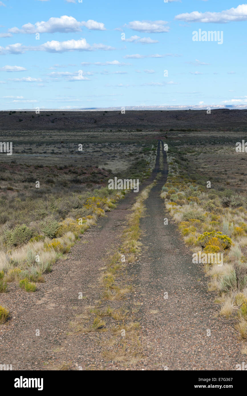 Einem verlassenen und vergessenen Abschnitt der Route 66 in Arizona östlich der Painted Desert National Park. Stockfoto
