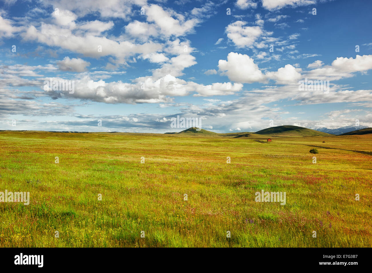 Wolken gehen über eine rote Scheune in NE Oregon Wallowa-Tal mit der Frühjahrsblüte von Wildblumen in der Zumwalt Prairie zu bewahren. Stockfoto