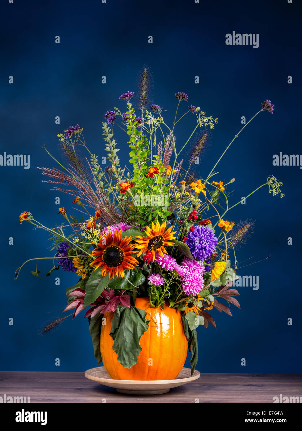 Wilde Blumen Blumenstrauß in geschnitzten Kürbis Vase auf dunkelblauem Hintergrund Stockfoto