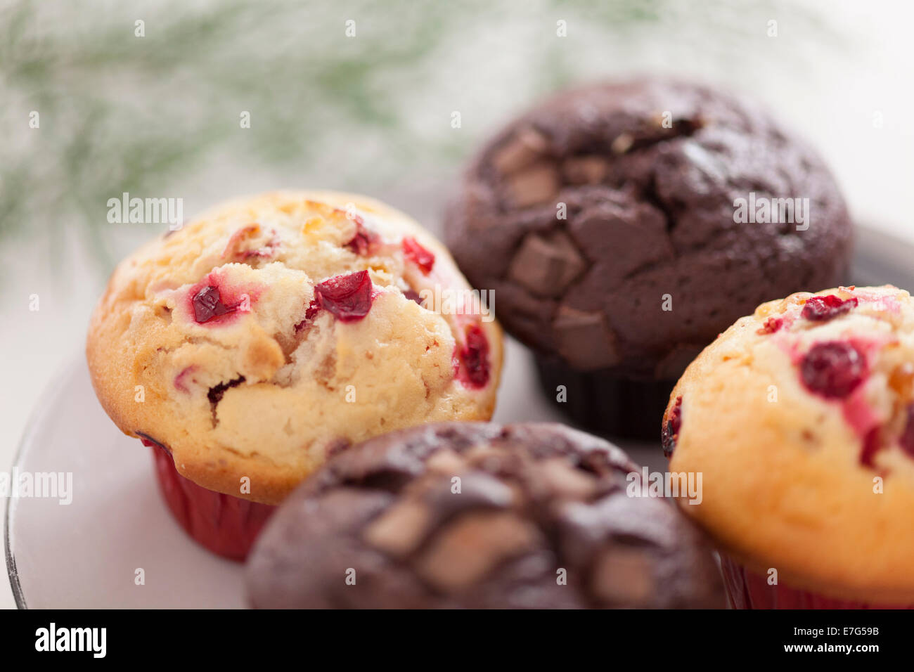 Cranberry-Muffins und Double chocolate Chip Muffins. Stockfoto