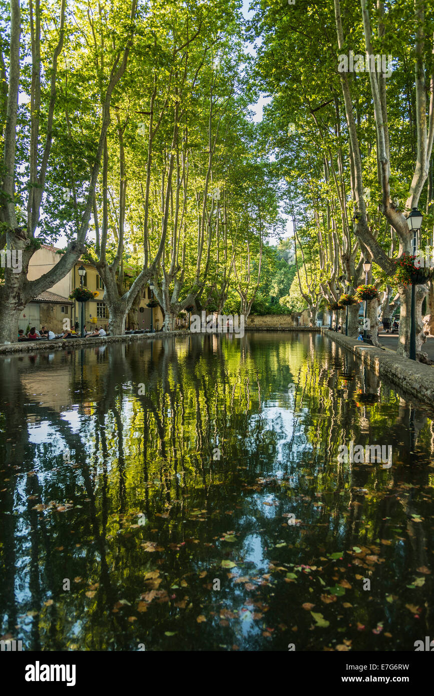 Wasserbecken umgeben von Platanen, Cucuron, Vaucluse, Provence-Alpes-Côte d ' Azur, Frankreich Stockfoto