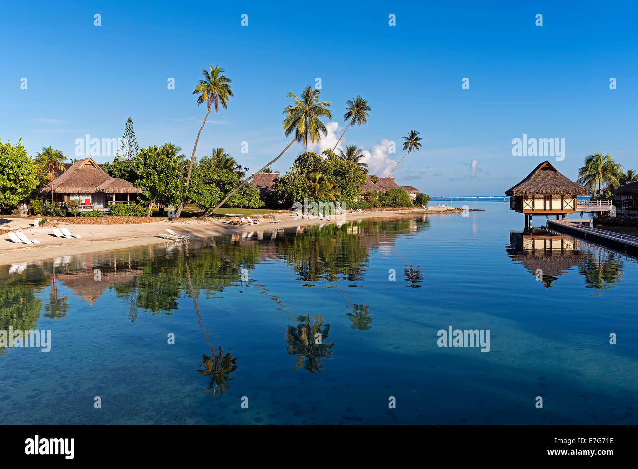 Bungalows, Palmen, Lagune, Moorea, Französisch-Polynesien Stockfoto