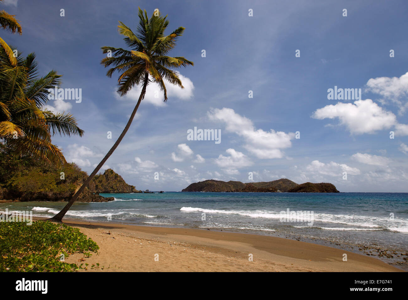 Sandstrand mit Surf, Little Tobago, Trinidad und Tobago Stockfoto