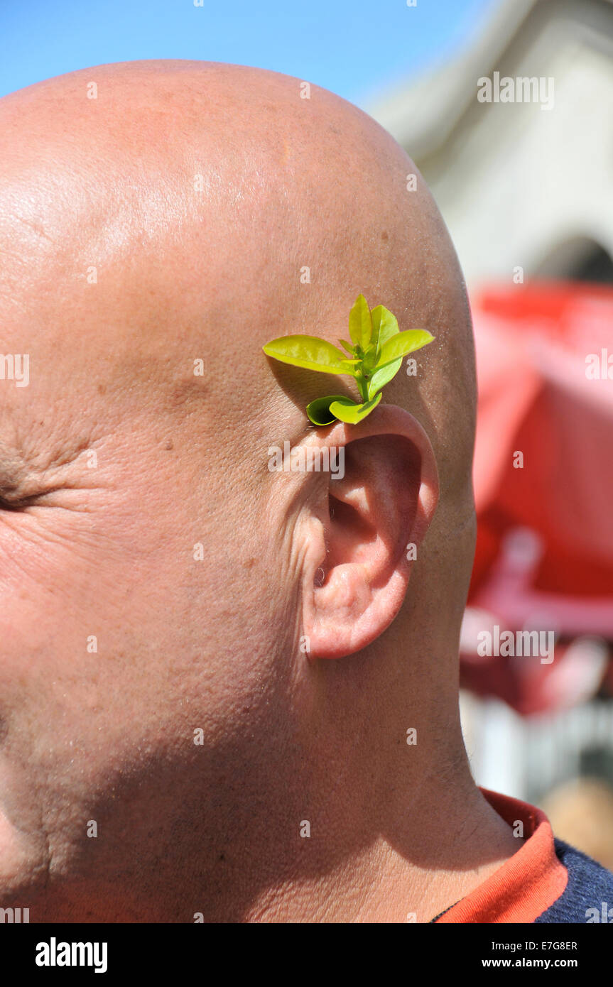 ungewöhnliche Dekoration Montevideo Uruguay Stockfoto