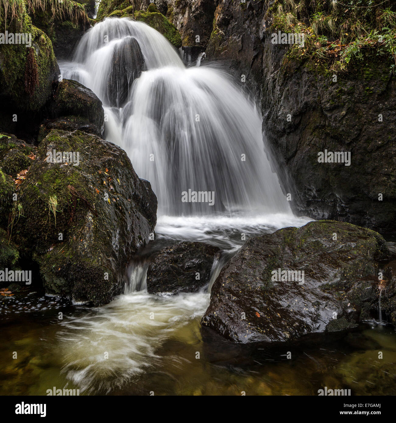 Die Ledore fällt in Borrowdale, Cumbria, England Stockfoto