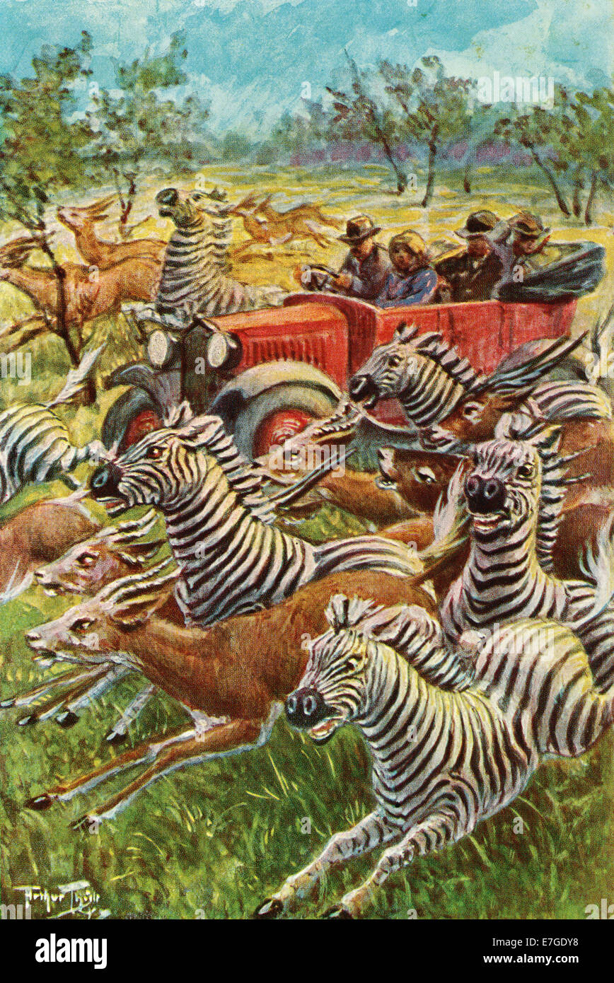 safari 1920