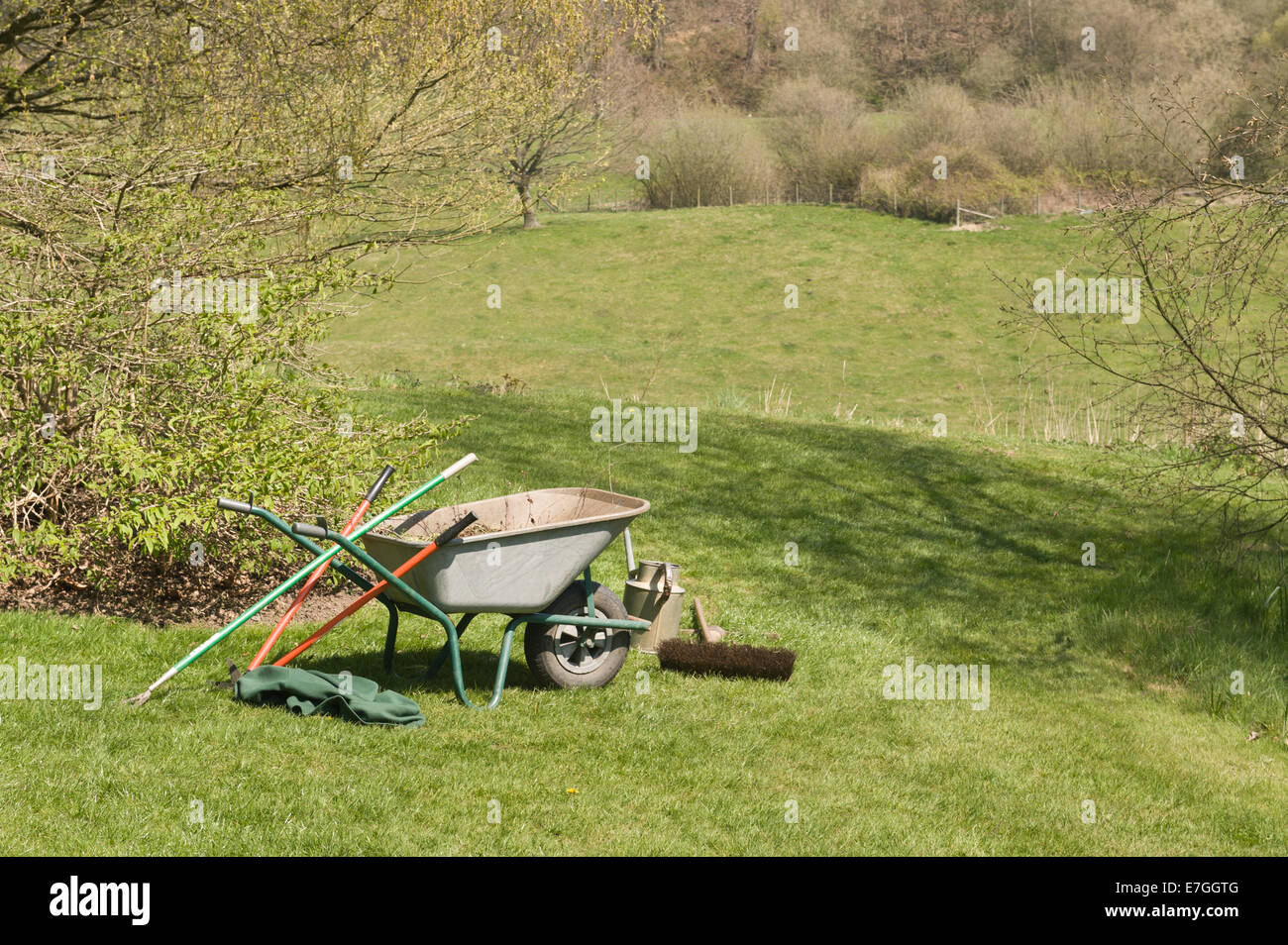 Umfangreiche Rollen Gartenfeld Rasen gegen Frühling Hintergrund Wald neuer Blätter entwickeln Stockfoto