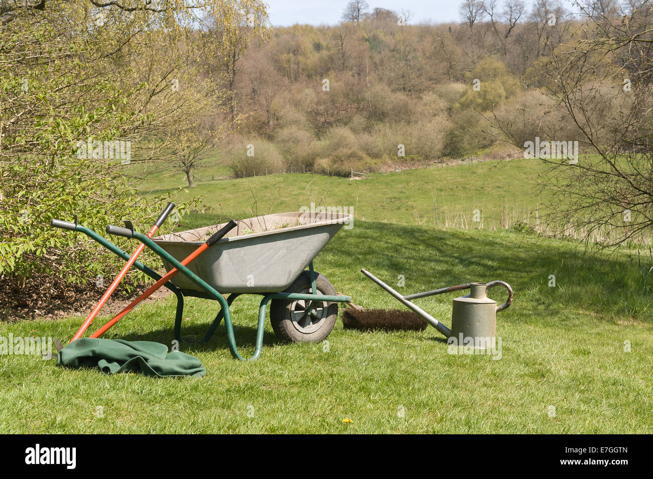 Umfangreiche Rollen Gartenfeld Rasen gegen Frühling Hintergrund Wald neuer Blätter entwickeln Stockfoto