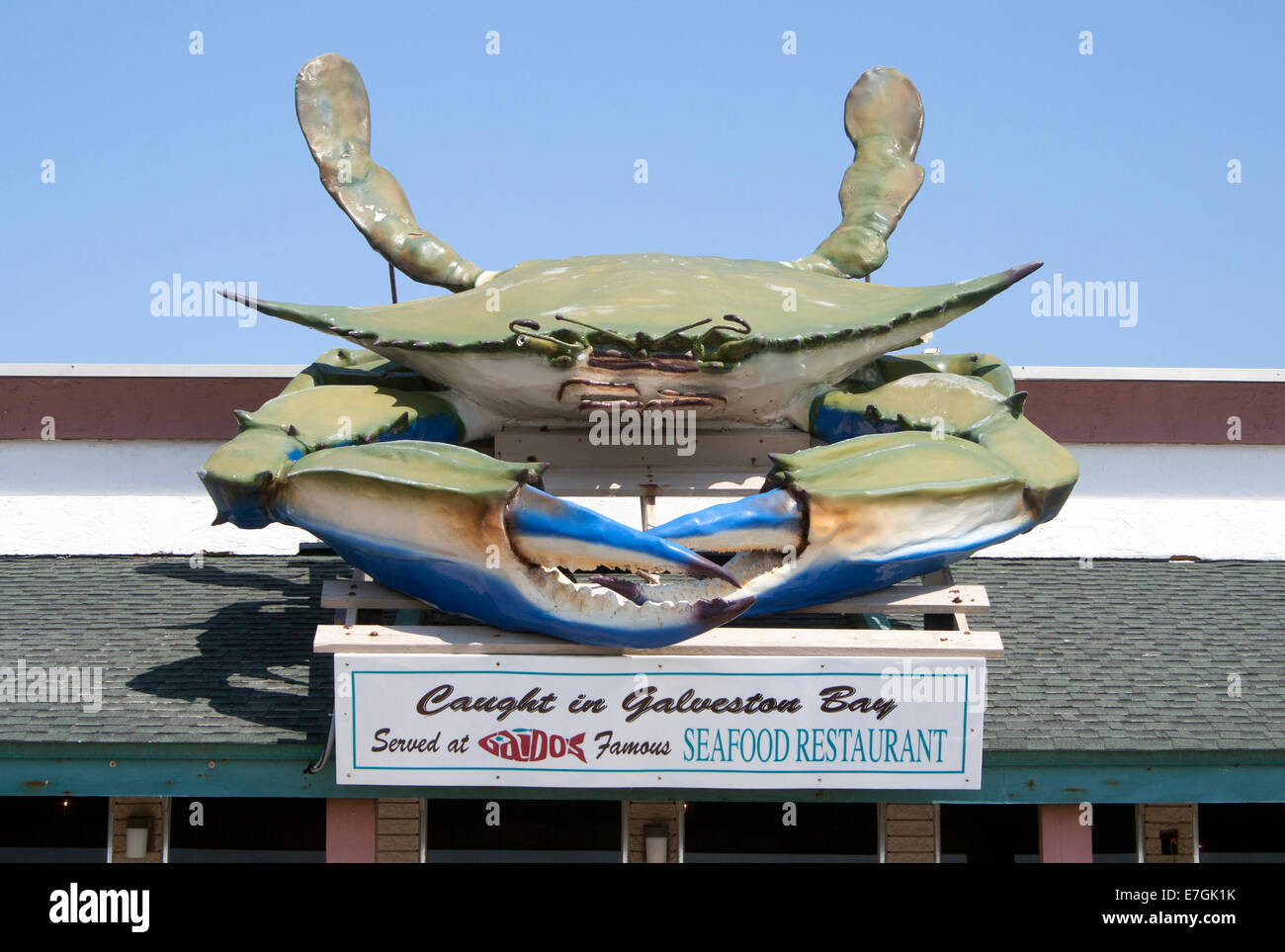 Auf dem Dach dieses Meeresfrüchte-Restaurants in Galveston, TX, thront eine riesige Krabbe, die sowohl Gäste als auch neugierige Reisende anlockt. Stockfoto