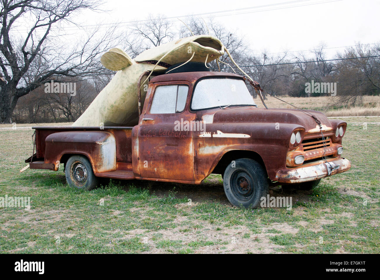 Riesenwels auf der Rückseite von einem alten Lastwagen in Lampasas Texas Stockfoto