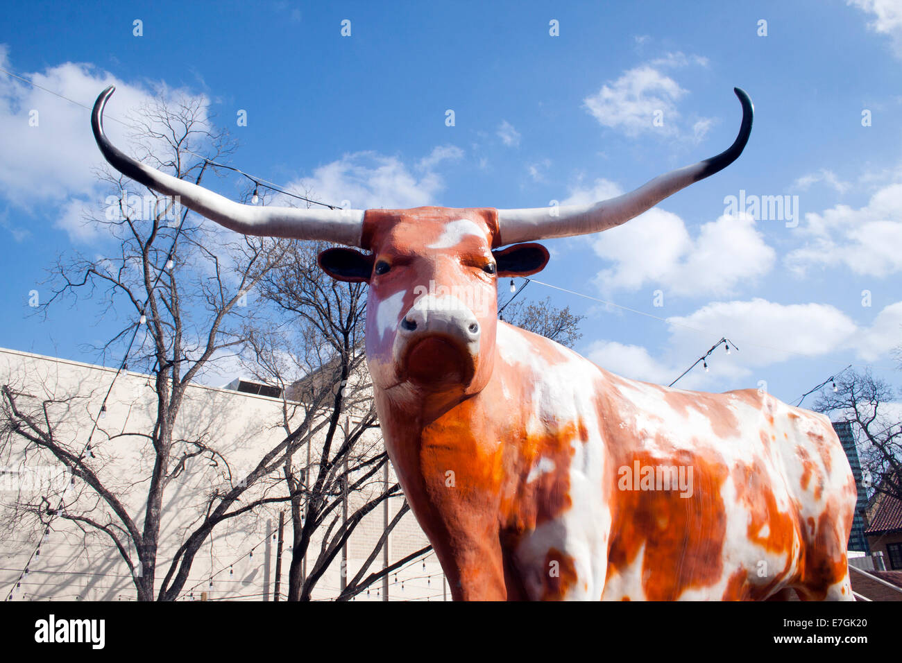 Das Giant Longhorn Steer in Austin, Texas, ist ein kühnes Symbol für den Stolz von Texas und das reiche Erbe der Viehzucht des Bundesstaates. Stockfoto