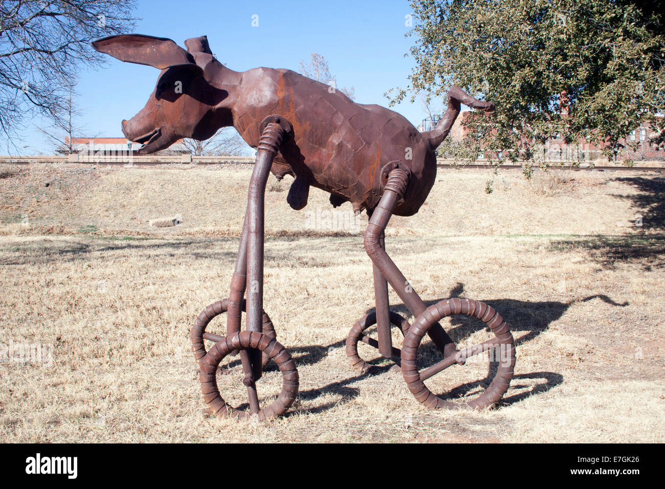 In Lubbock, TX, führt eine skurrile Schweineskulptur mit Fahrradbeinen in die Kunst am Straßenrand und verbindet Bauernhof-Charme mit skurriler Kreativität. Stockfoto