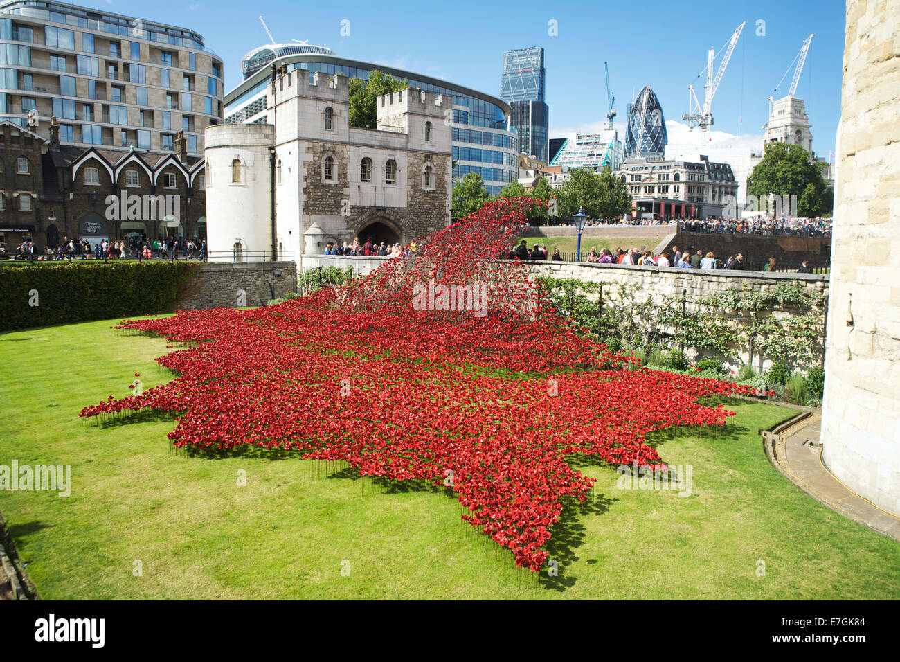Tower of London Poppies, Moat: Mit einem Meer von Keramikmohn zum Gedenken an WW1, London, England, Vereinigtes Königreich. Kunstinstallation GB. Ceramics UK. Öffentliche Kunst. Stockfoto