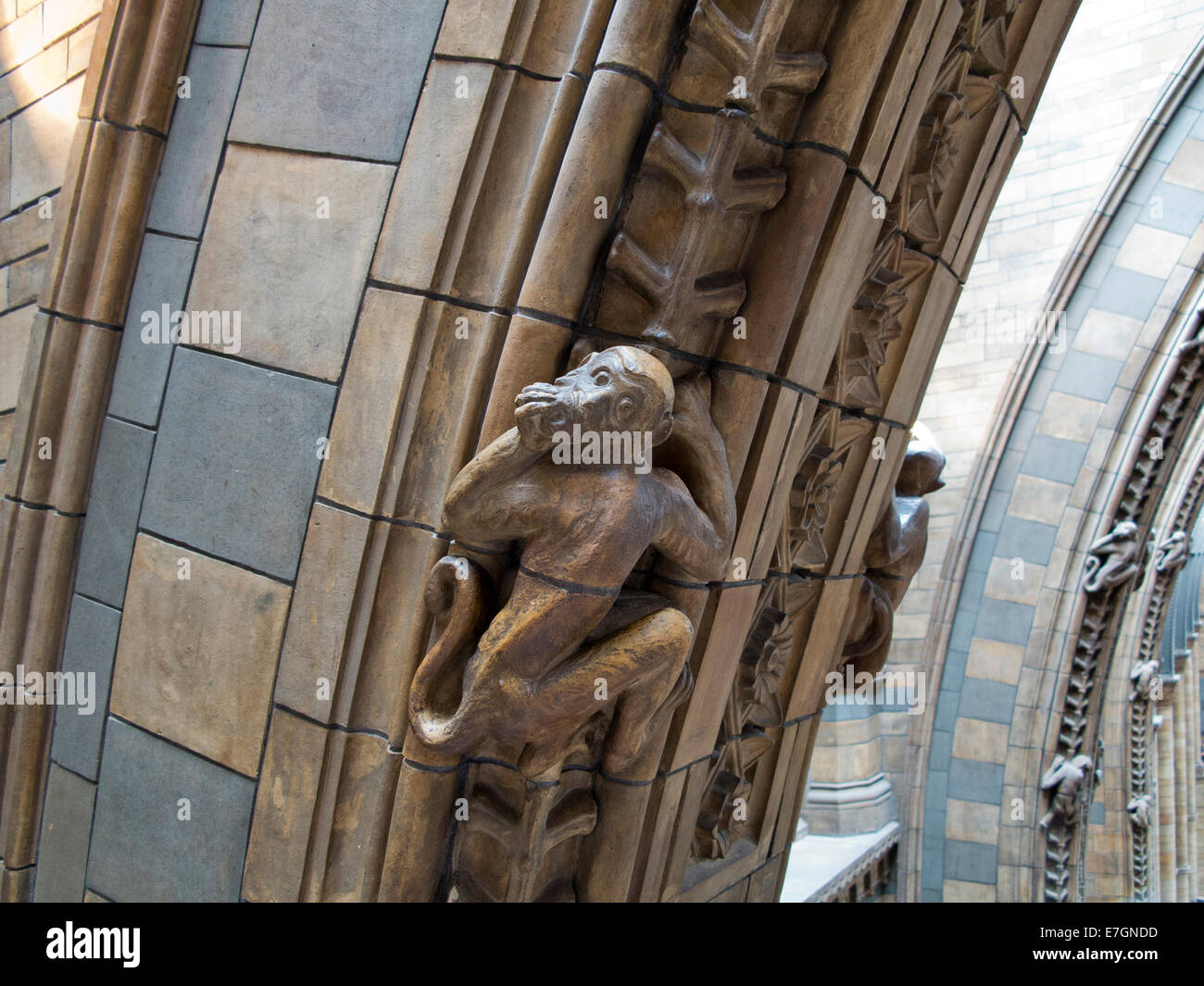 Stone monkey Skulpturen klettern die Bögen in der Natural History Museum, South Kensington, London, England Stockfoto