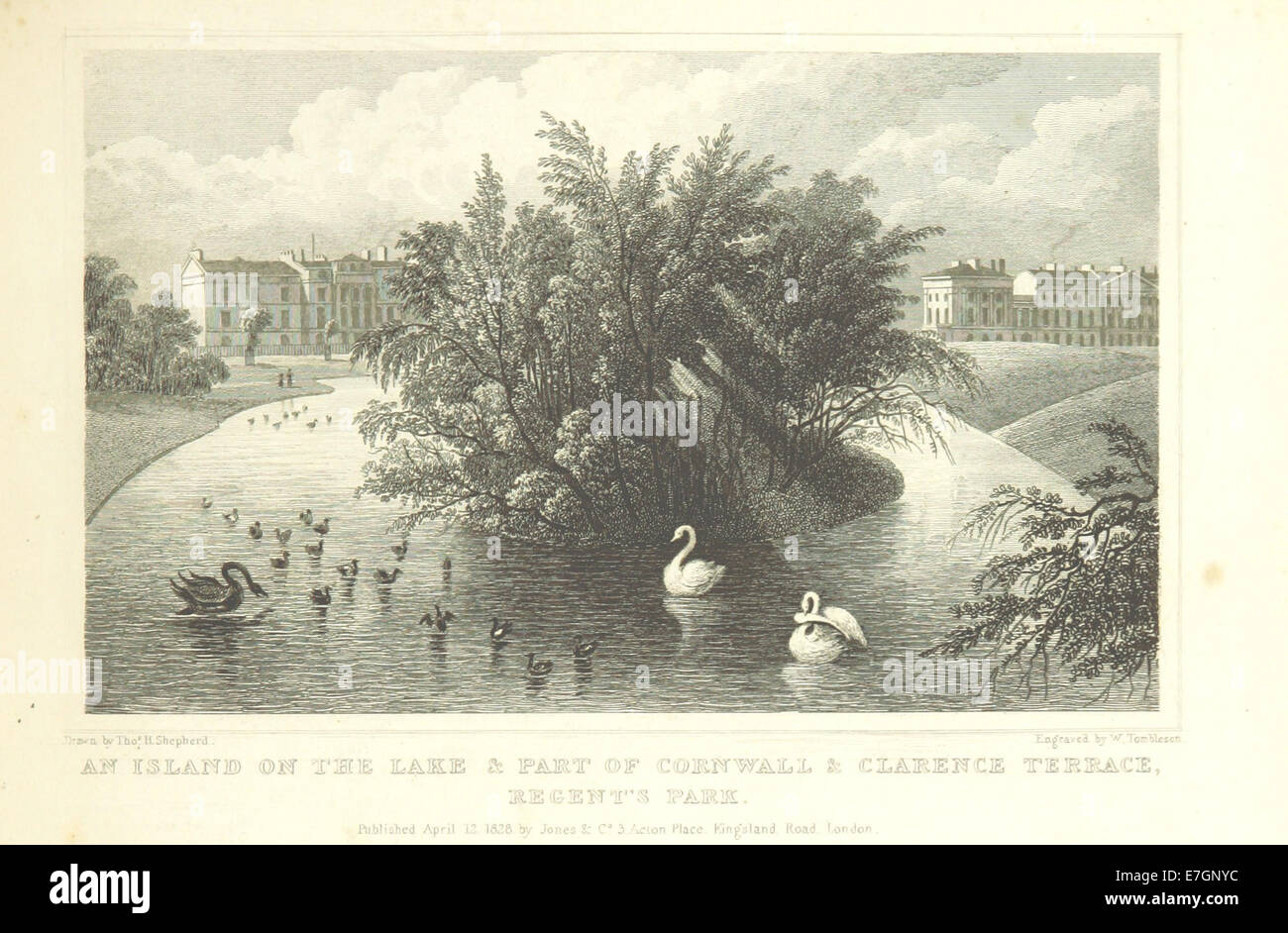 Eine Insel auf dem See, und Teil von Cornwall und Clarence Terrace, Regents Park - Hirte, Metropolitan Verbesserungen (1828), p205 Stockfoto