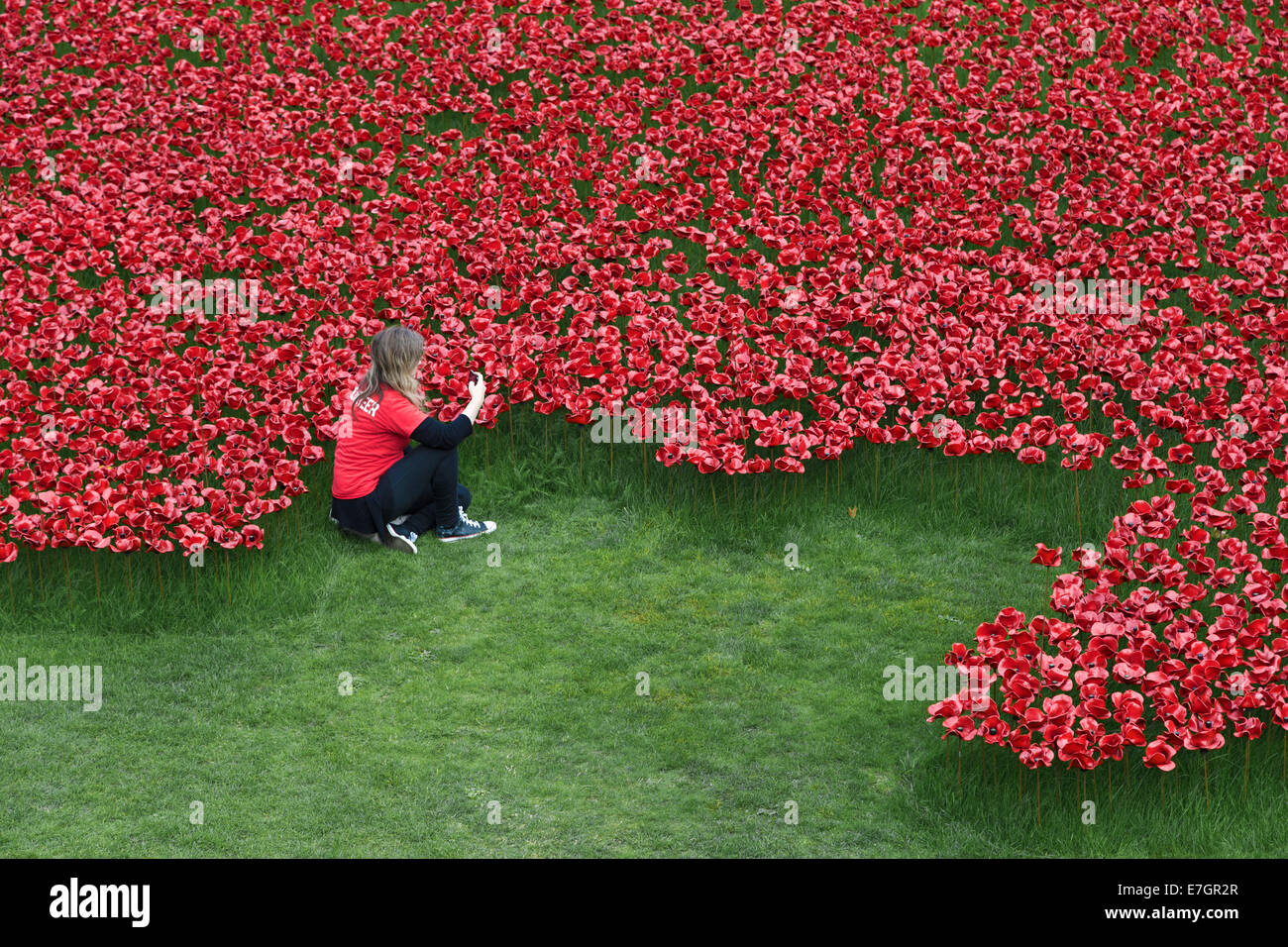 Junge Frau nimmt Fotos von Commemorative Mohn an der Tower of London, London, England, UK Stockfoto