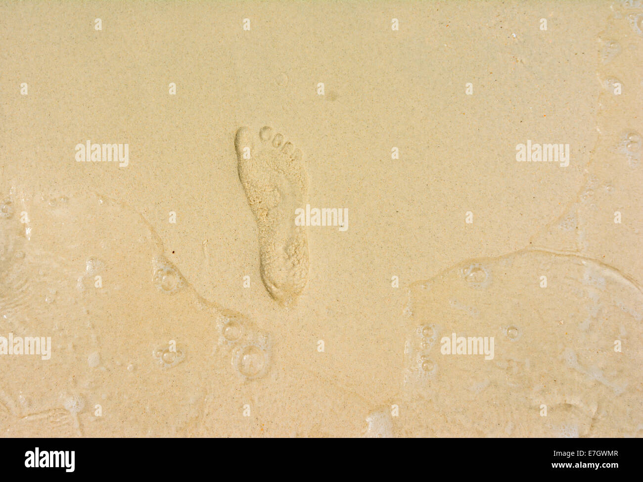 Ein Fußabdruck im goldenen Sand am Ufer des Meeres Stockfoto