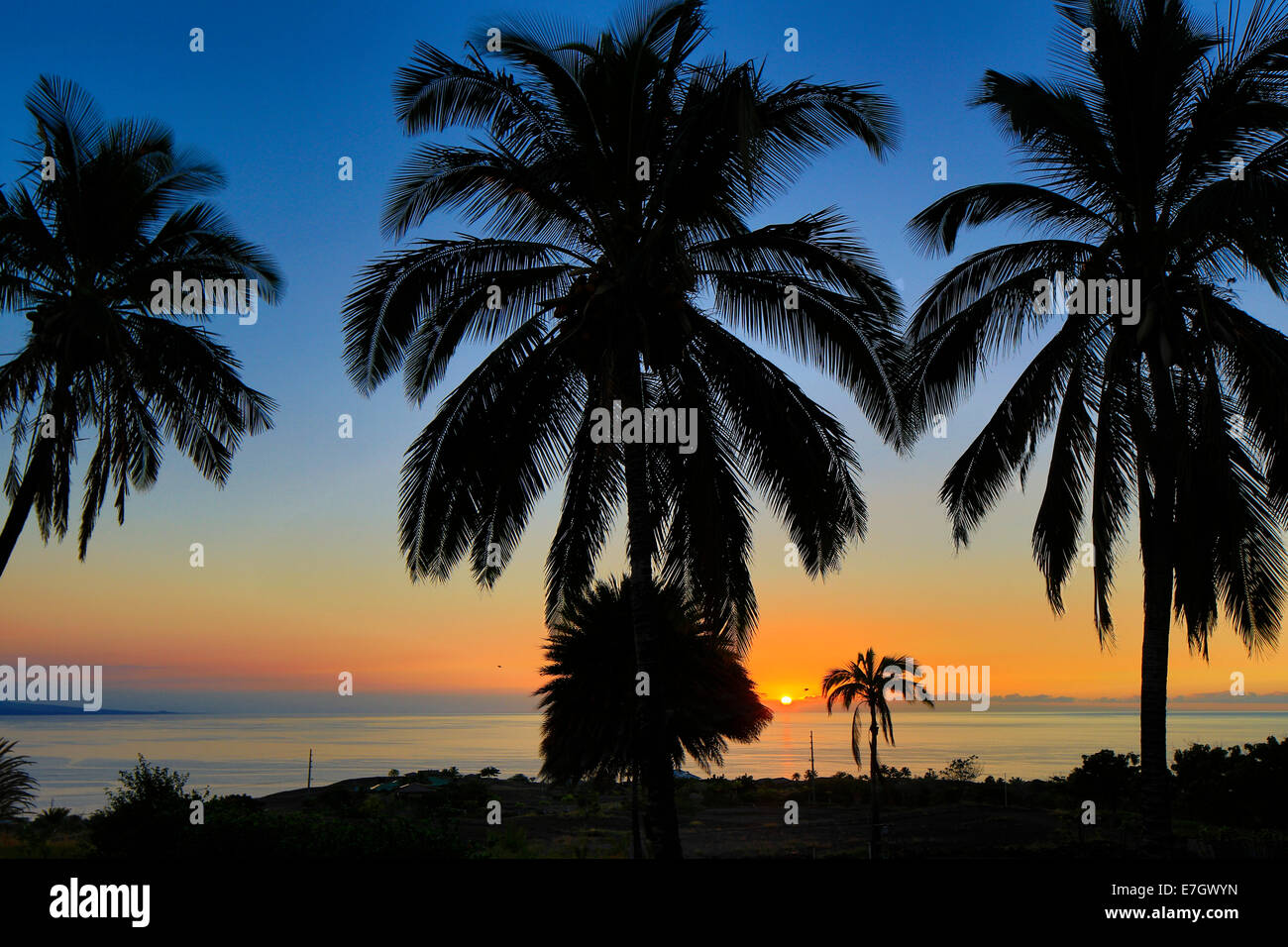 Sonnenuntergang, Kohala, Big Island von Hawaii Stockfoto