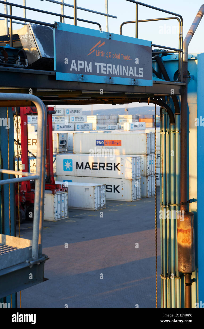 Container und Straddle Carrier am APM Terminal, Aarhus (Dänemark) Stockfoto
