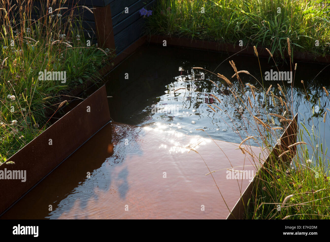 Wildtierfreundlicher Garten mit Rillenwasser aus rostem Kornstahl in einem kleinen Teich, in dem Ziergräser aus Großbritannien gepflanzt werden Stockfoto