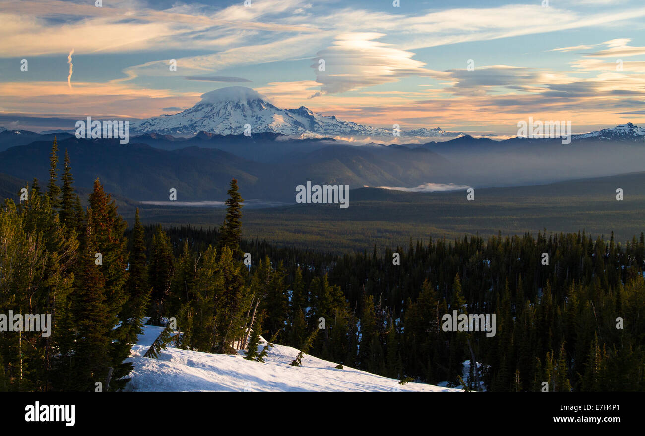 Mt. Rainier und die Gifford Pinchot National Forest Stockfoto