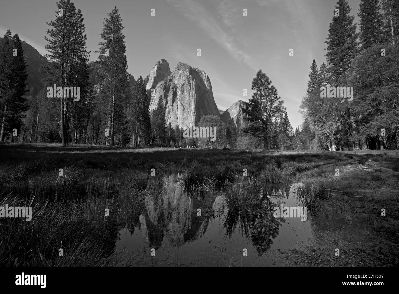 Cathedral Rocks spiegelt sich in einem Teich im Yosemite Valley, Yosemite-Nationalpark, Kalifornien, USA Stockfoto
