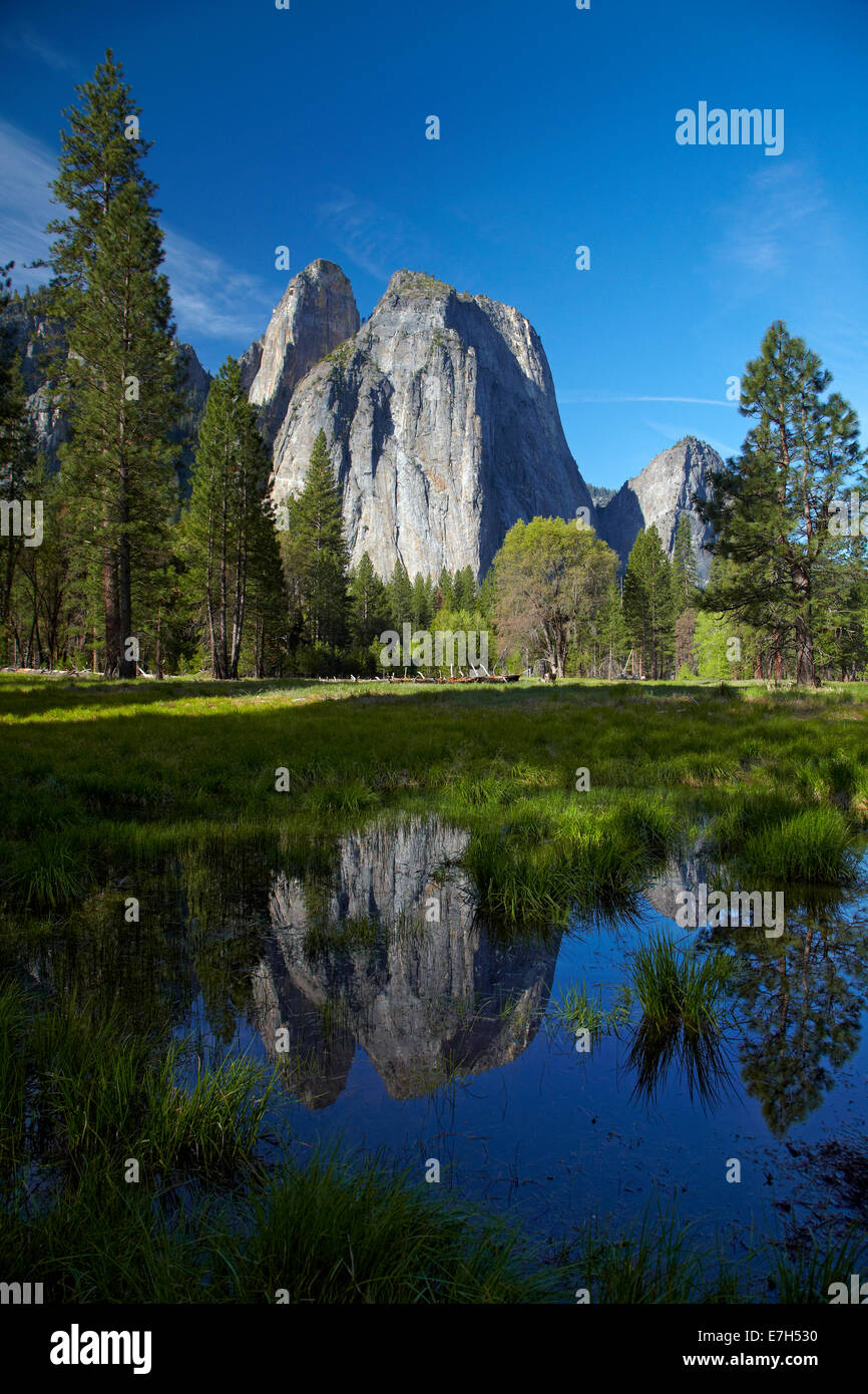 Cathedral Rocks spiegelt sich in einem Teich im Yosemite Valley, Yosemite-Nationalpark, Kalifornien, USA Stockfoto