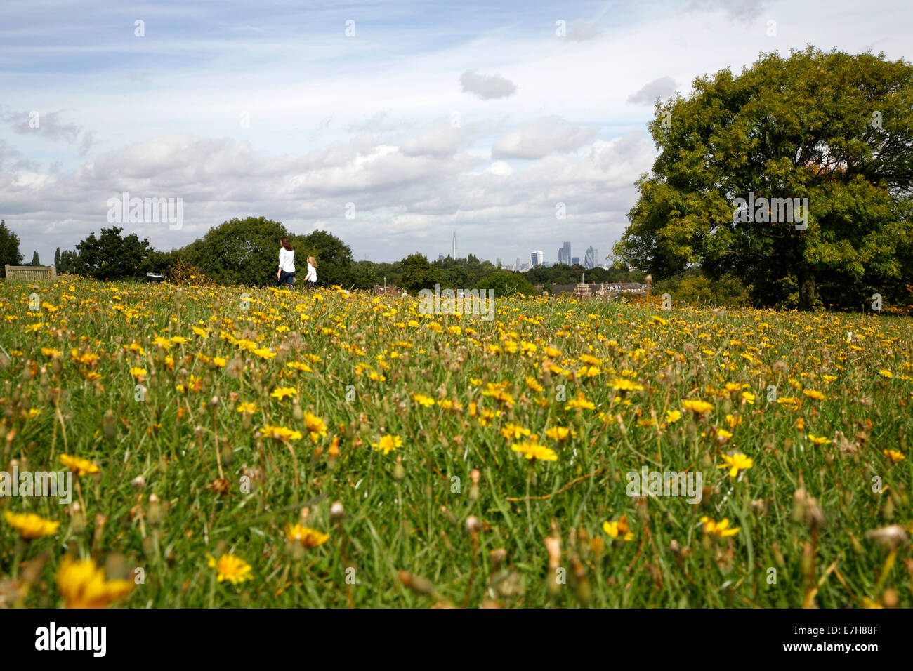 Fernblick auf zentralen London Skyline von Blythe Hill Felder, Honor Oak Park, London, UK Stockfoto