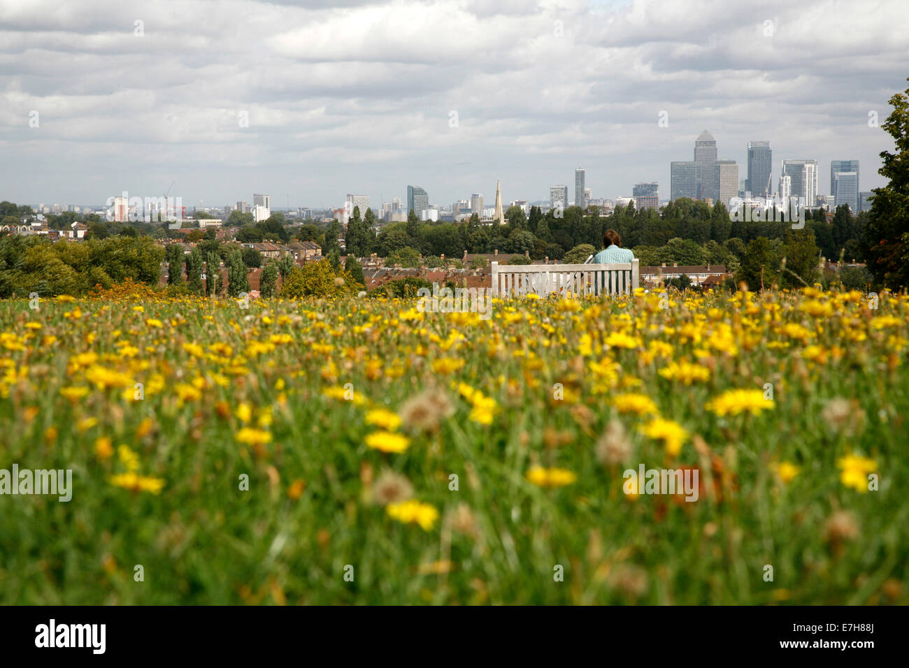 Fernblick auf Canary Wharf Skyline von Blythe Hill Felder, Honor Oak Park, London, UK Stockfoto