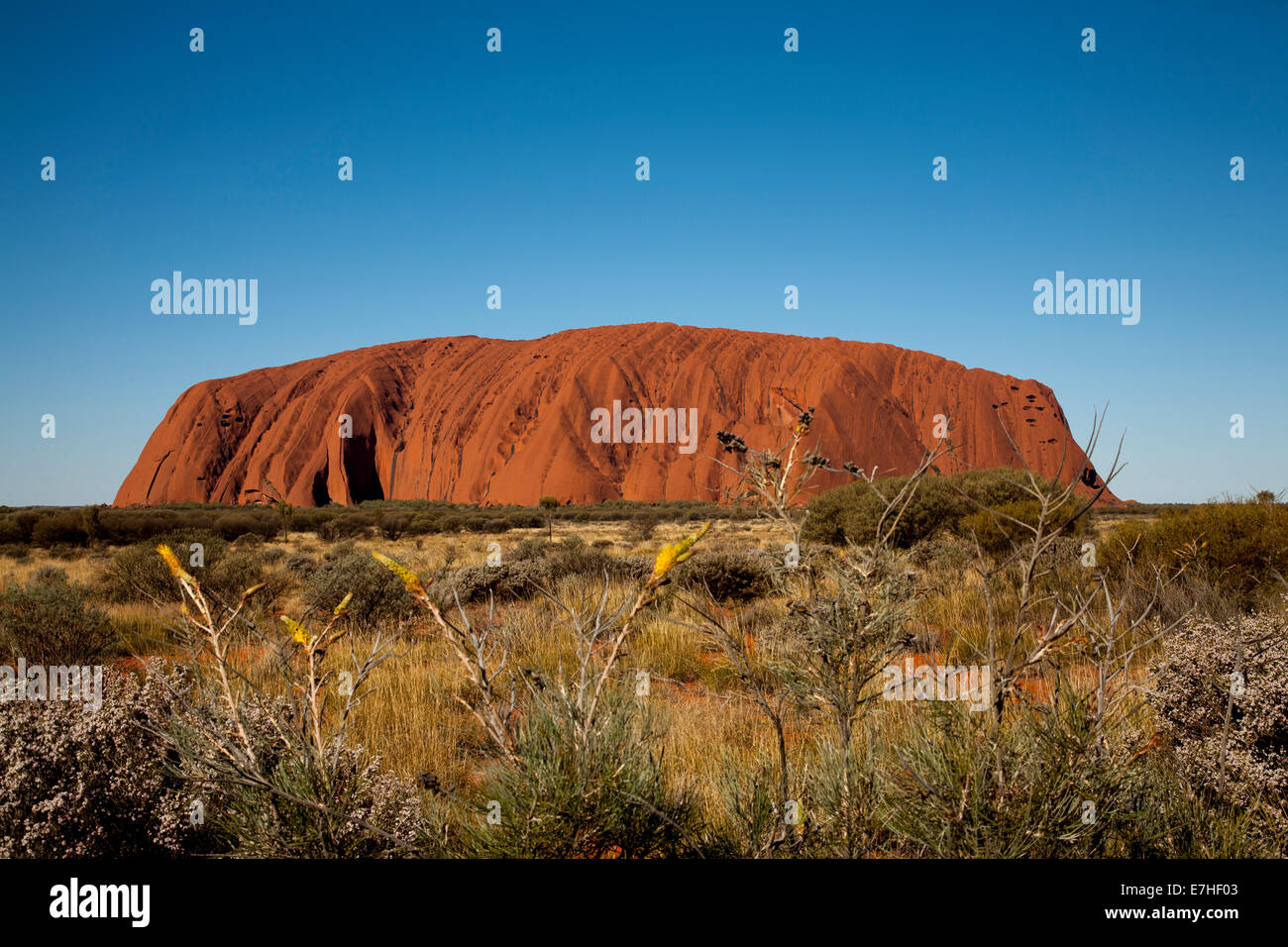 Ayers Rock, Uluru-Kata Tjuta National Park, Northern Territory, Australien Stockfoto