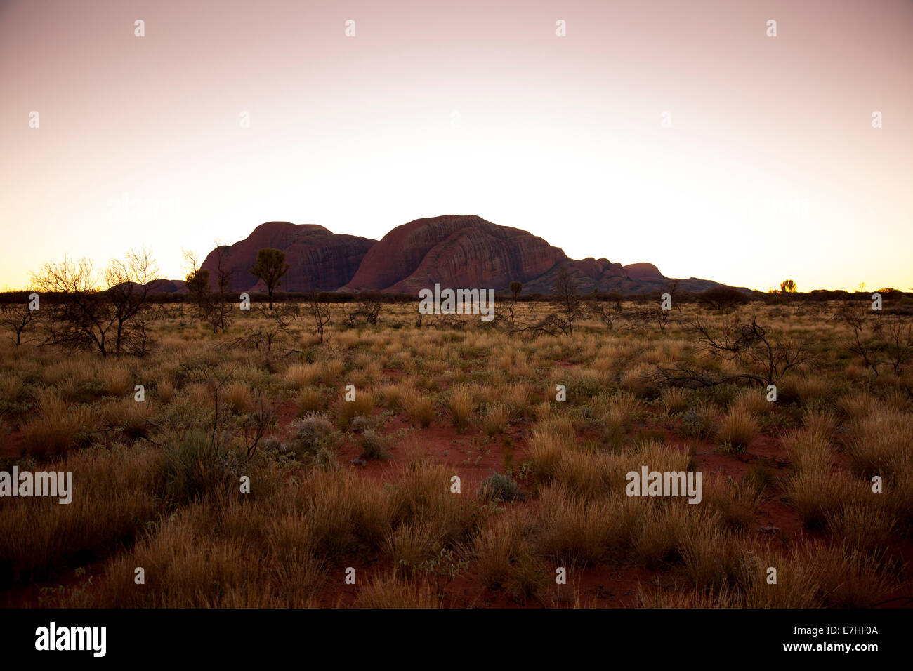 Die Olgas, Uluru-Kata Tjuta National Park, Northern Territory, Australien Stockfoto