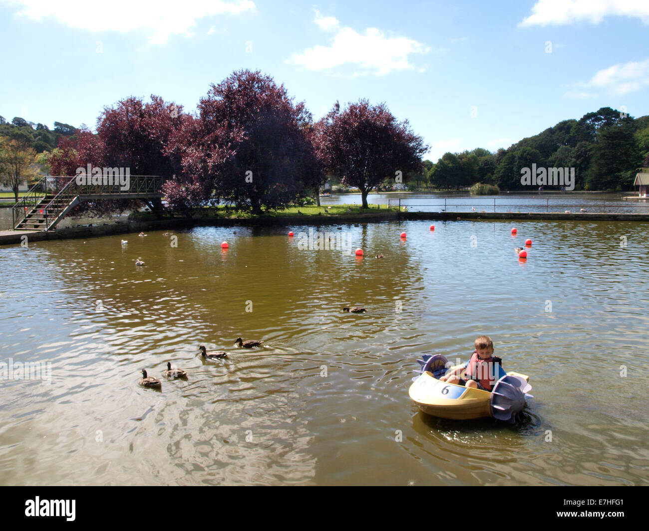 Kleiner Junge spielt in einem Paddelboot am See zum Bootfahren Helston, Cornwall, UK Stockfoto