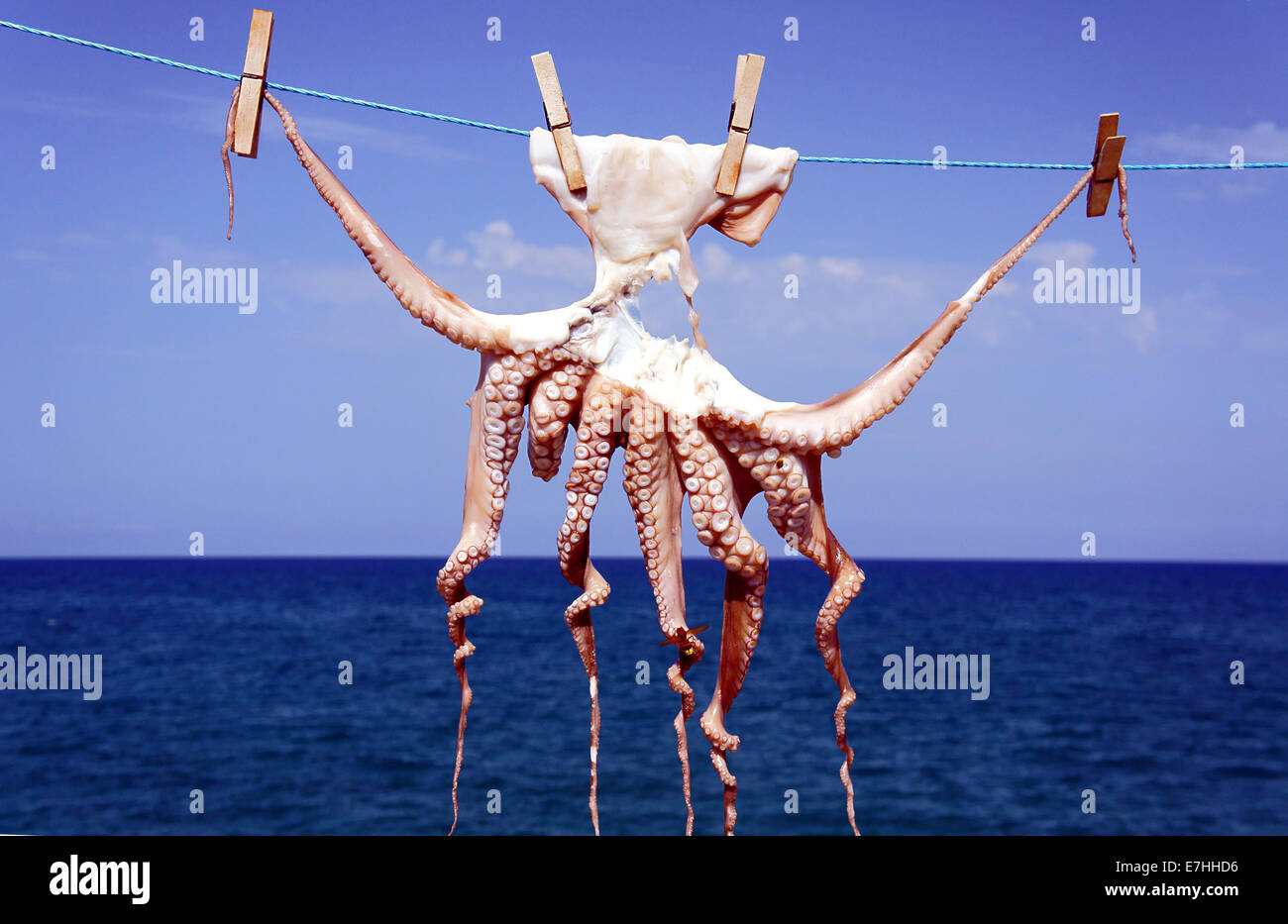 Eine kleine Krake trocknen in der Sonne, der Insel Kreta Stockfoto