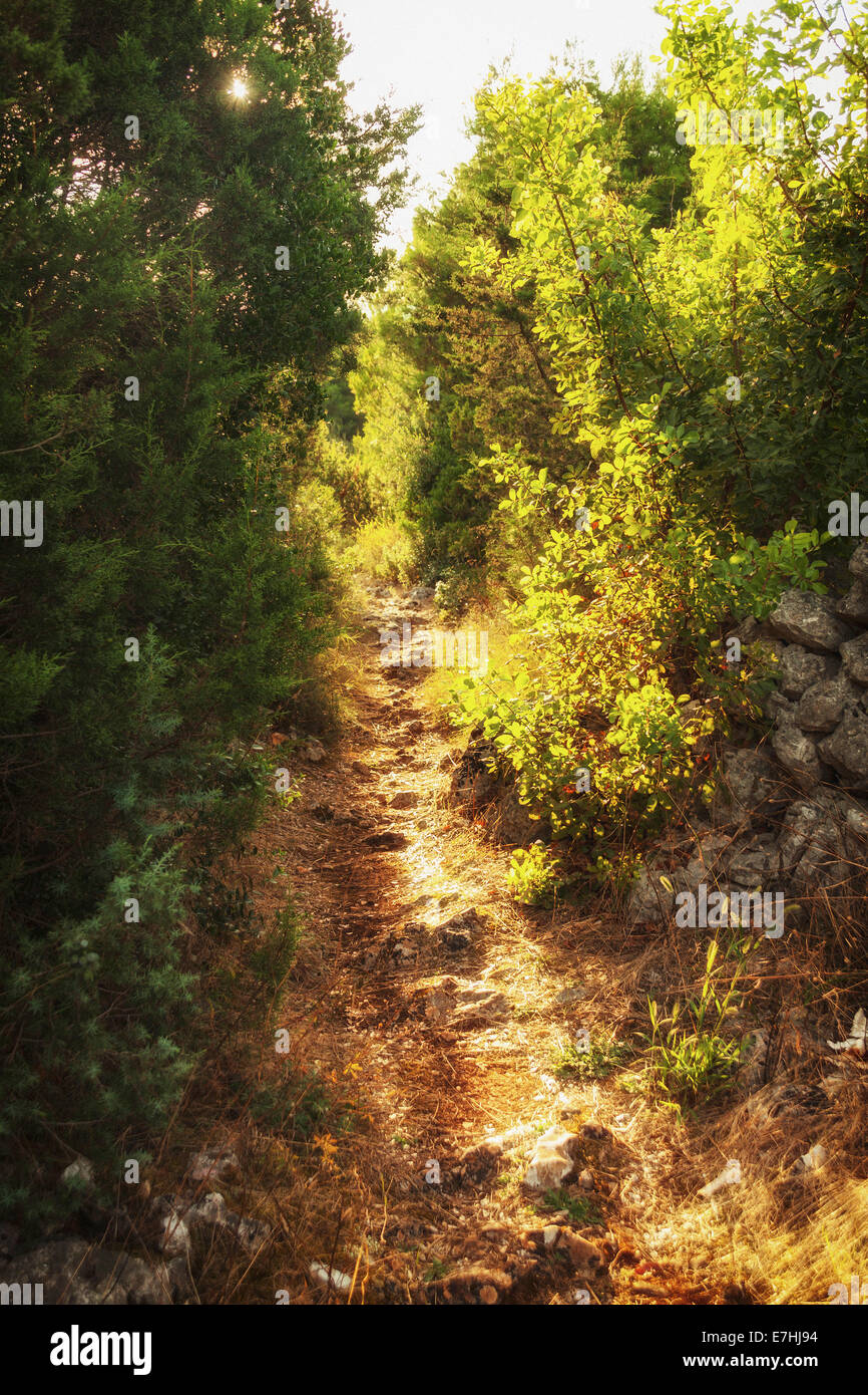 Weg zum Glavica Hügel in der Nähe von Stari Grad, Insel Hvar, Kroatien Stockfoto