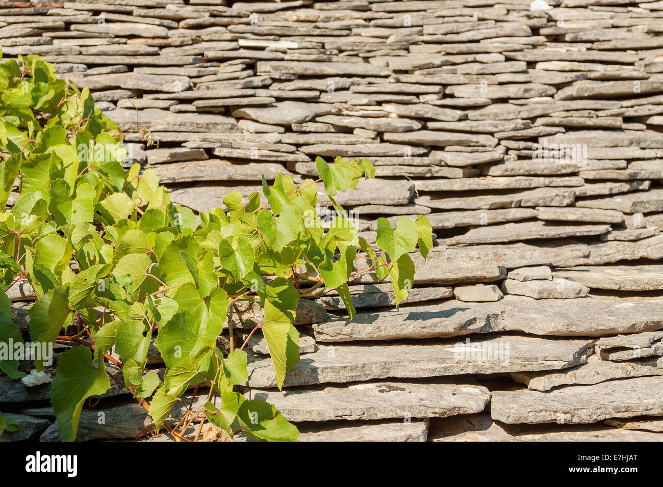 Traditionelle Stein Dach eines Gebäudes in Humac Dorf, Insel Hvar, Kroatien Stockfoto