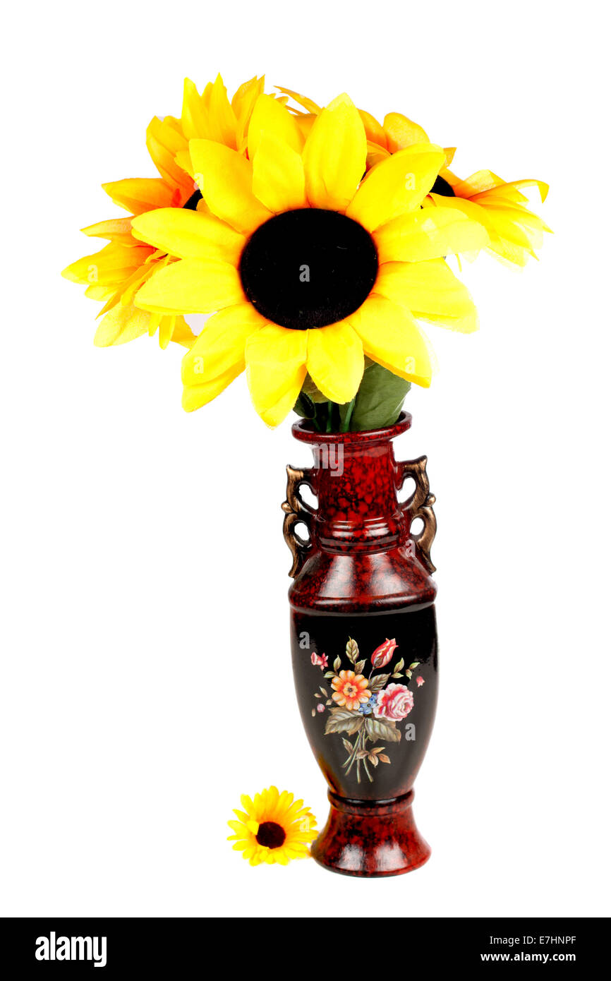 Sonnenblume in Vase vor weißem Hintergrund Stockfoto