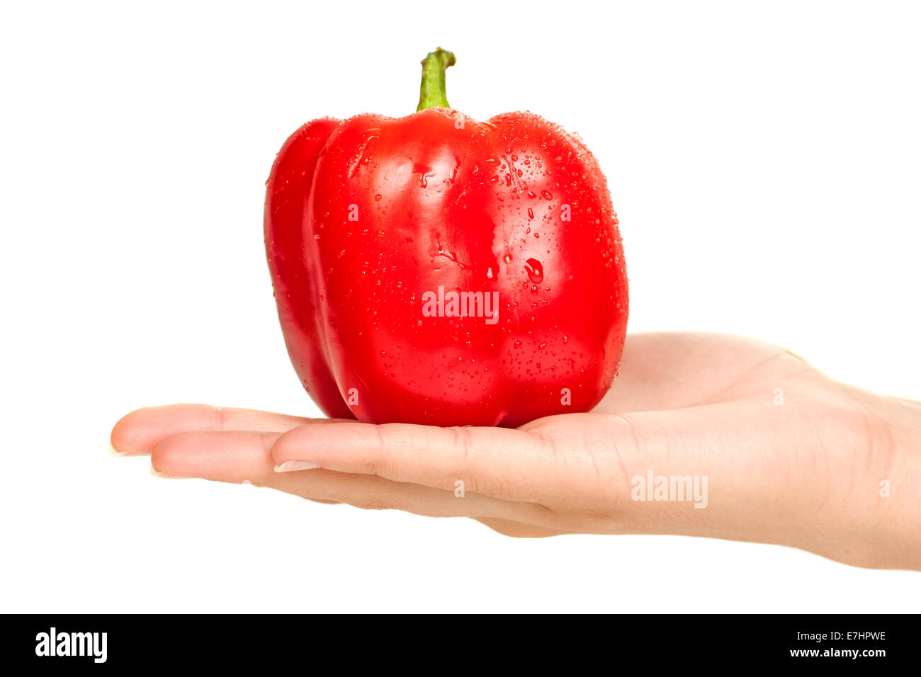 Rote Paprika in einer Frauen-Hand isoliert auf weißem Hintergrund Stockfoto
