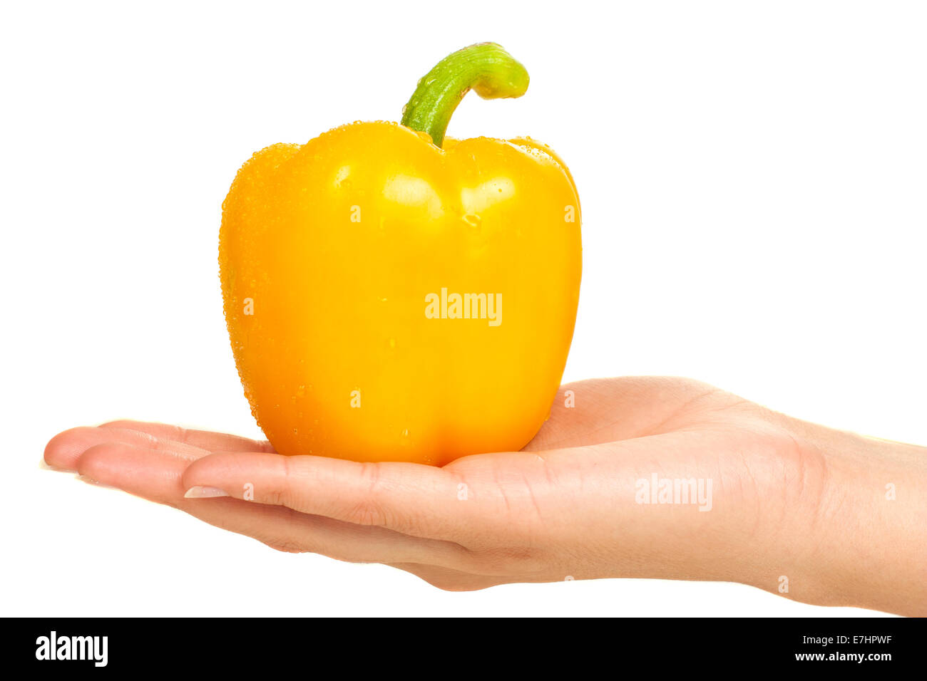 Gelbe Paprika in einer Frauen-Hand isoliert auf weißem Hintergrund Stockfoto