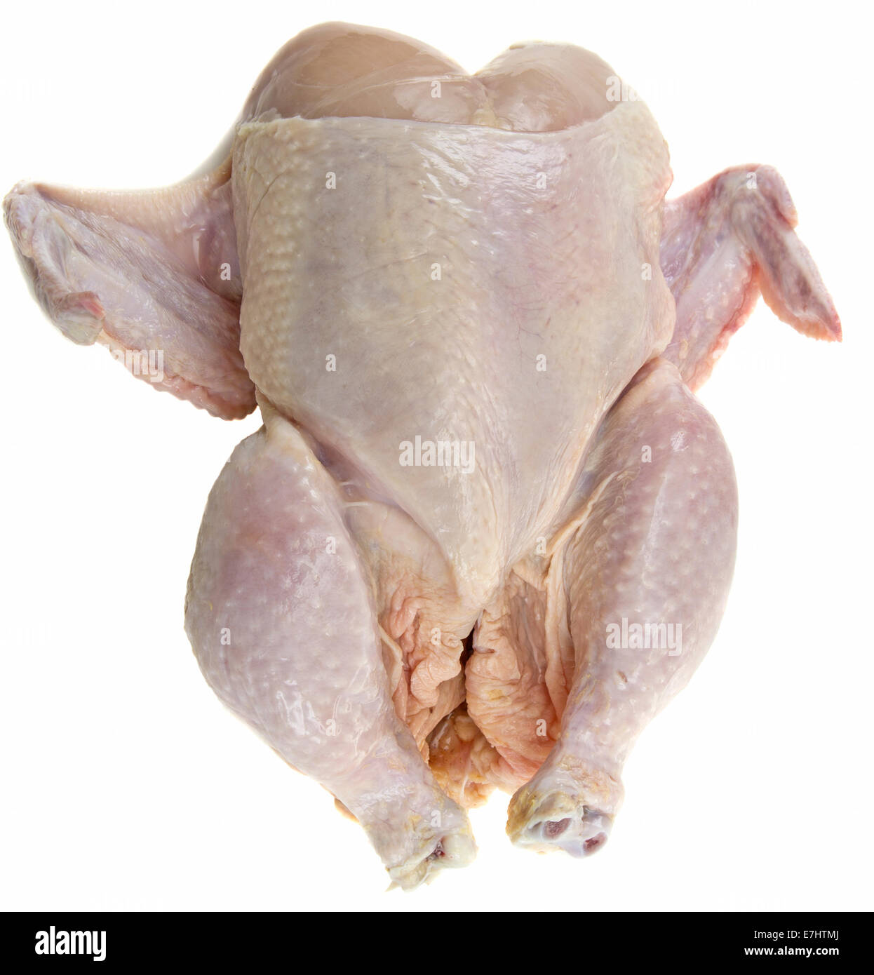 Rohem ganz vorbereitet Huhn isoliert auf weißem Hintergrund Stockfoto