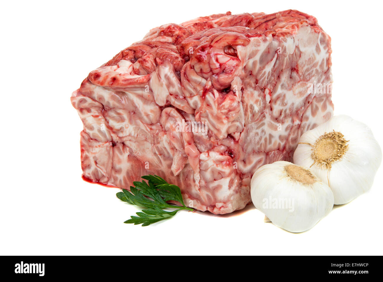 Gehirn Schweinefleisch mit Knoblauch und Petersilie isoliert auf weißem Hintergrund Stockfoto