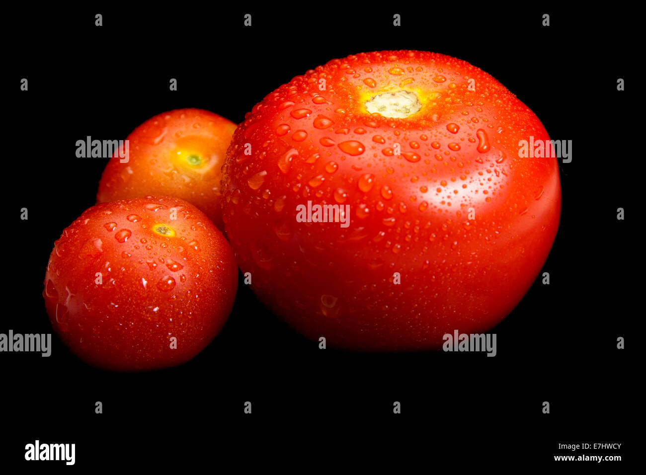 Tomaten mit Wasser Tropfen isolierten auf schwarzen Hintergrund Stockfoto