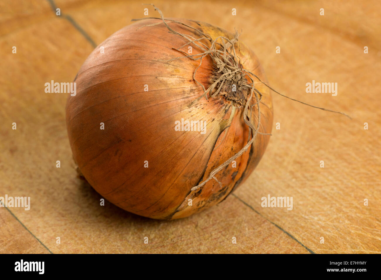 Eine einzige Zwiebel sitzt auf einem abgenutzten Metzger Block Schneidebrett Stockfoto