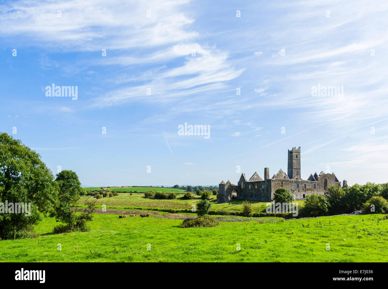Quin Abtei, in der Nähe von Ennis, County Clare, Republik Irland Stockfoto