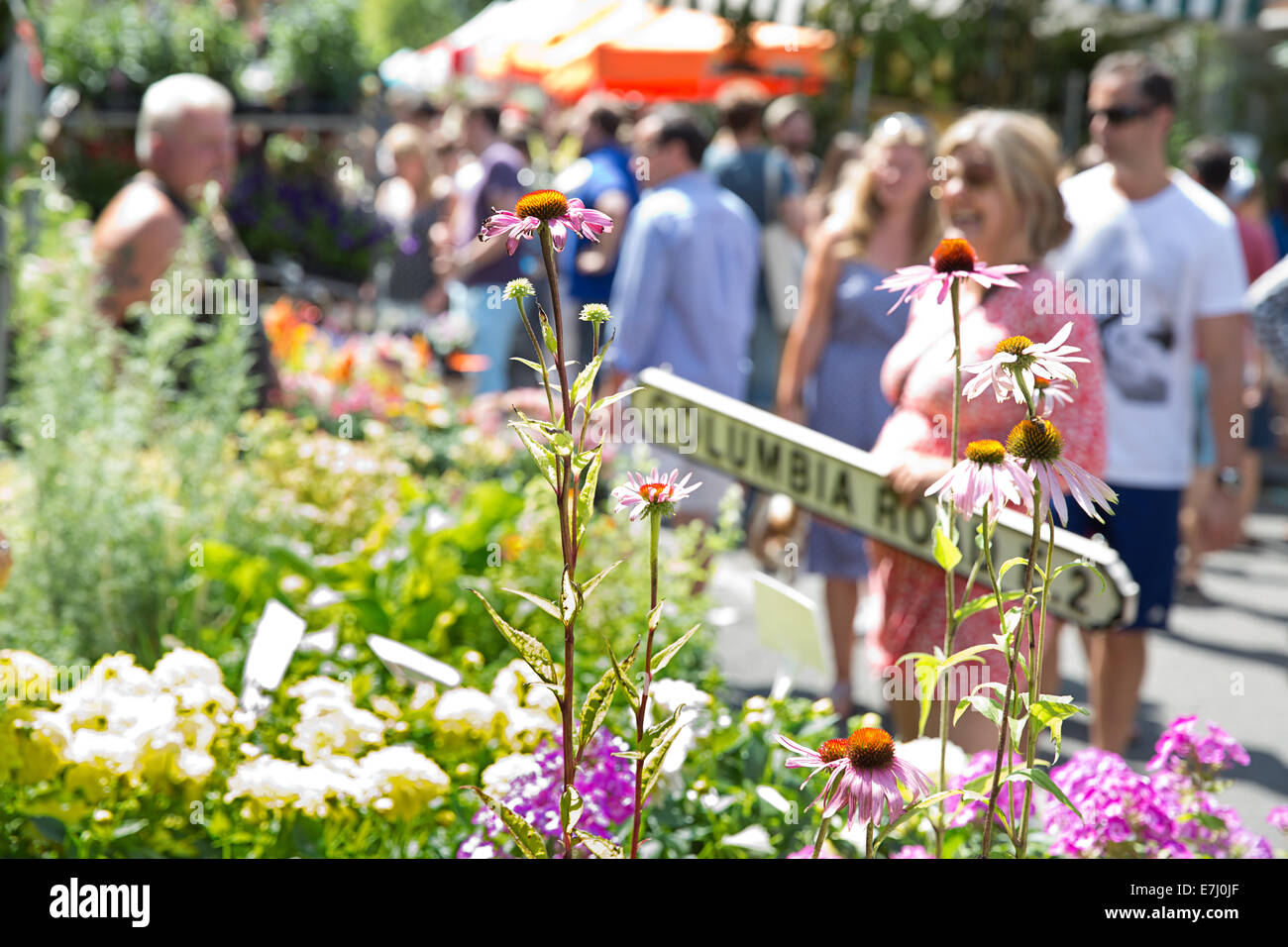 Columbia Road Flower Market in London. Stockfoto
