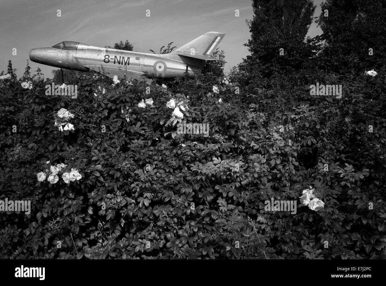 Dassault Mystere IVA - Luftwaffe, LFOI Abbeville, Frankreich Stockfoto