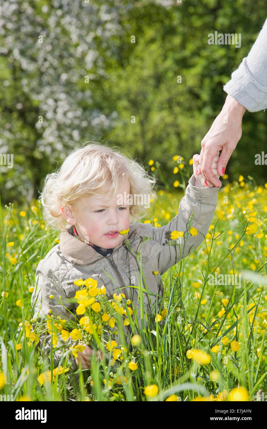 Junge mit seiner Mutter die Hand auf einer Blumenwiese im Frühling Stockfoto