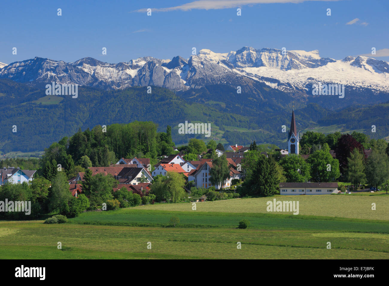 Alpen, Alpenpanorama, Berg, Berge, Bergpanorama, massiv, Bubikon, Dorf, Glarner Alpen, Glärnisch, Kirche, Kirche Stockfoto