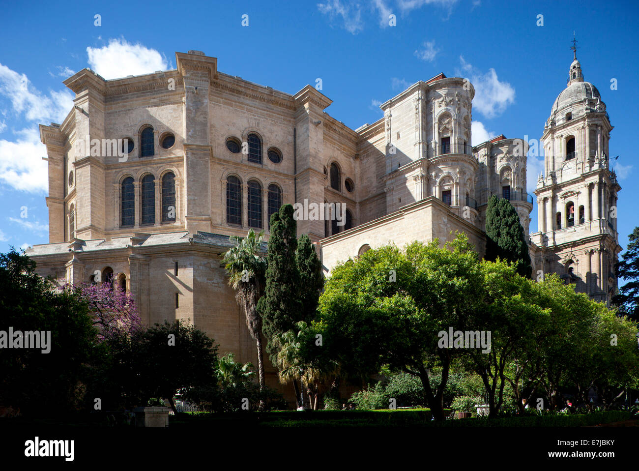 Kathedrale von Málaga, La Manquita, Malaga, Andalusien, Spanien Stockfoto