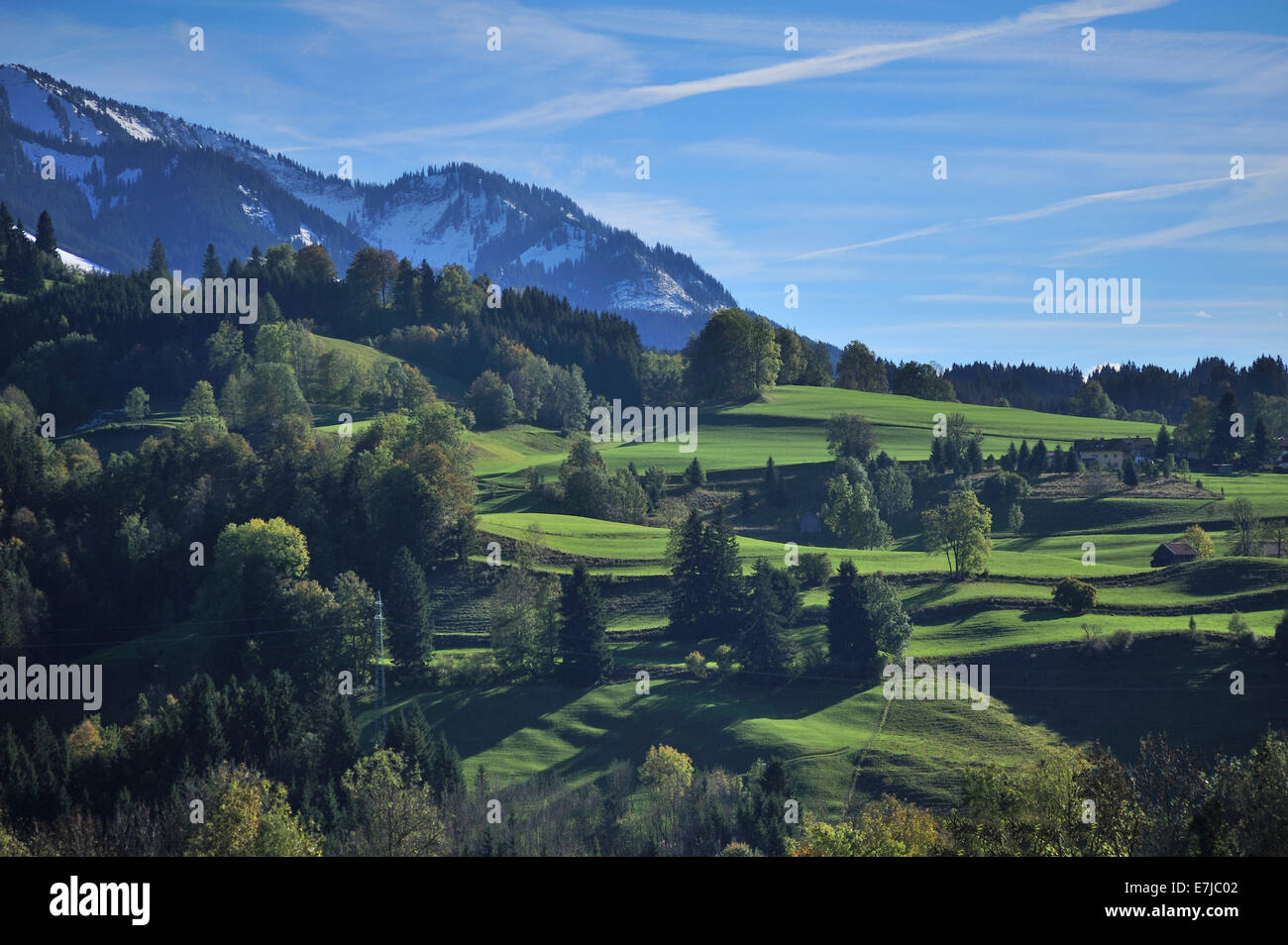 Allgäuer Landschaft, Bühl bin Alpsee, Allgäu, Bayern, Deutschland Stockfoto